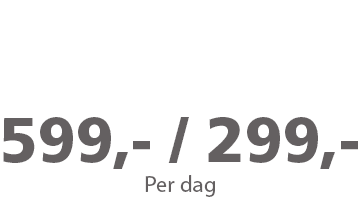 leiebil 8